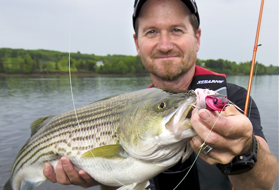 Why TV’s Fish’N Canada crew loves fishing for New Brunswick striped