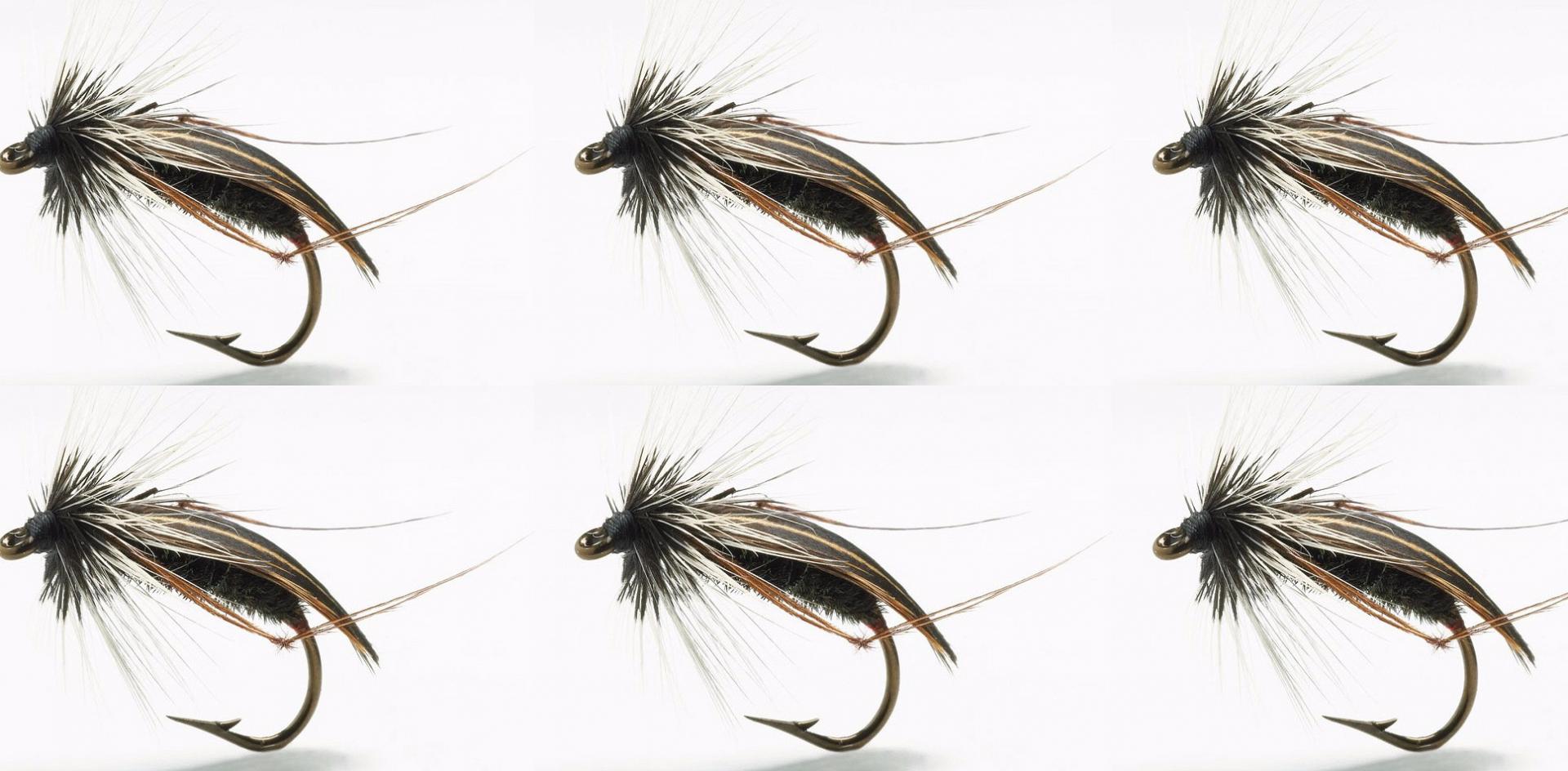What Is The Best Flies For Trout Fishing at Gordon Norwood blog