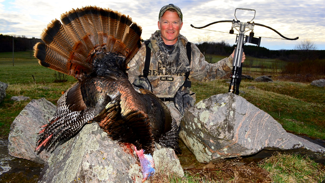 Bowhunting wild turkeys? These are the 3 secrets you must know