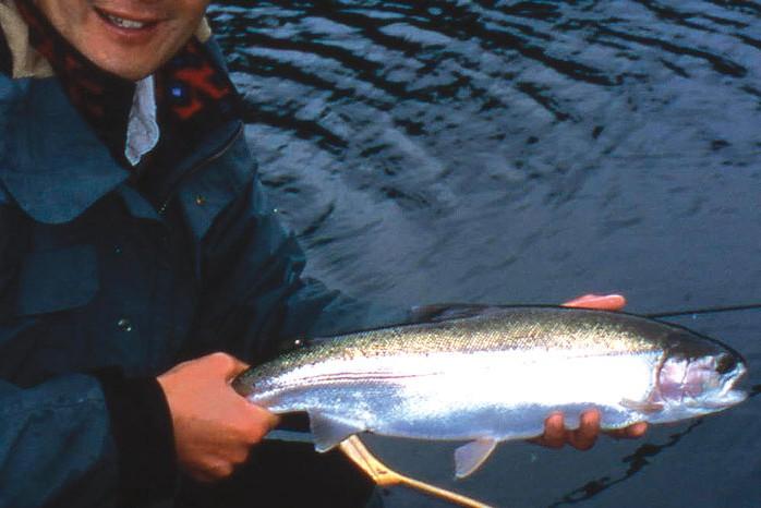 Expert tips for fishing rainbow trout • Outdoor Canada