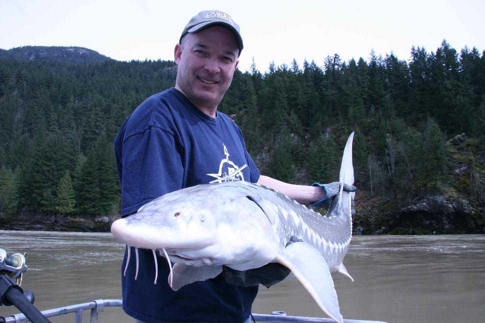 My first sturgeon: A relative puppy at 4 feet 6 inches. But sweet.