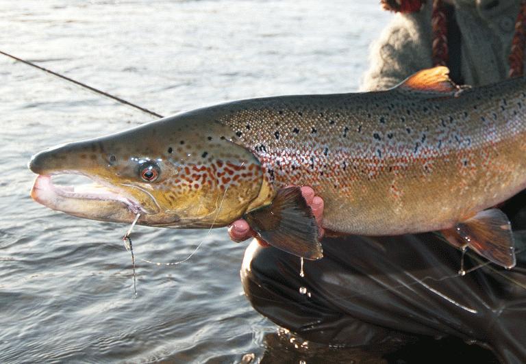 2012 fishing hotspots • Outdoor Canada
