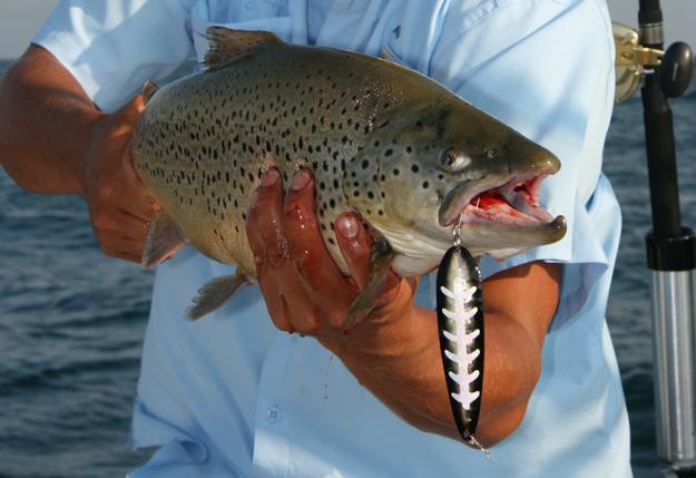 How to fillet a trout