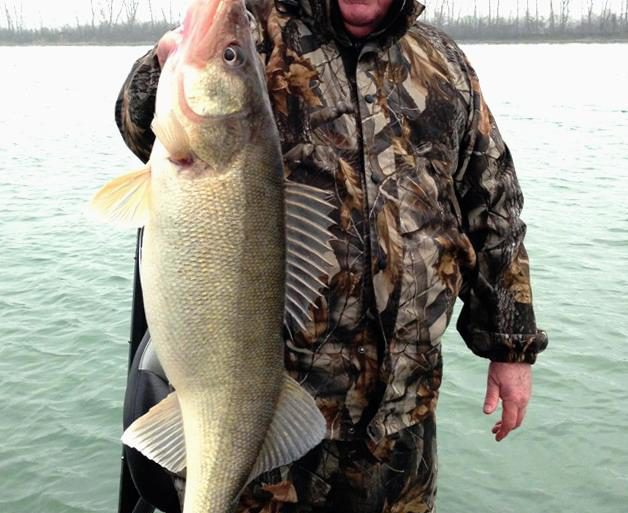 The fastest route in the spring, to a trophy walleye like this one, is a bulked up jig.