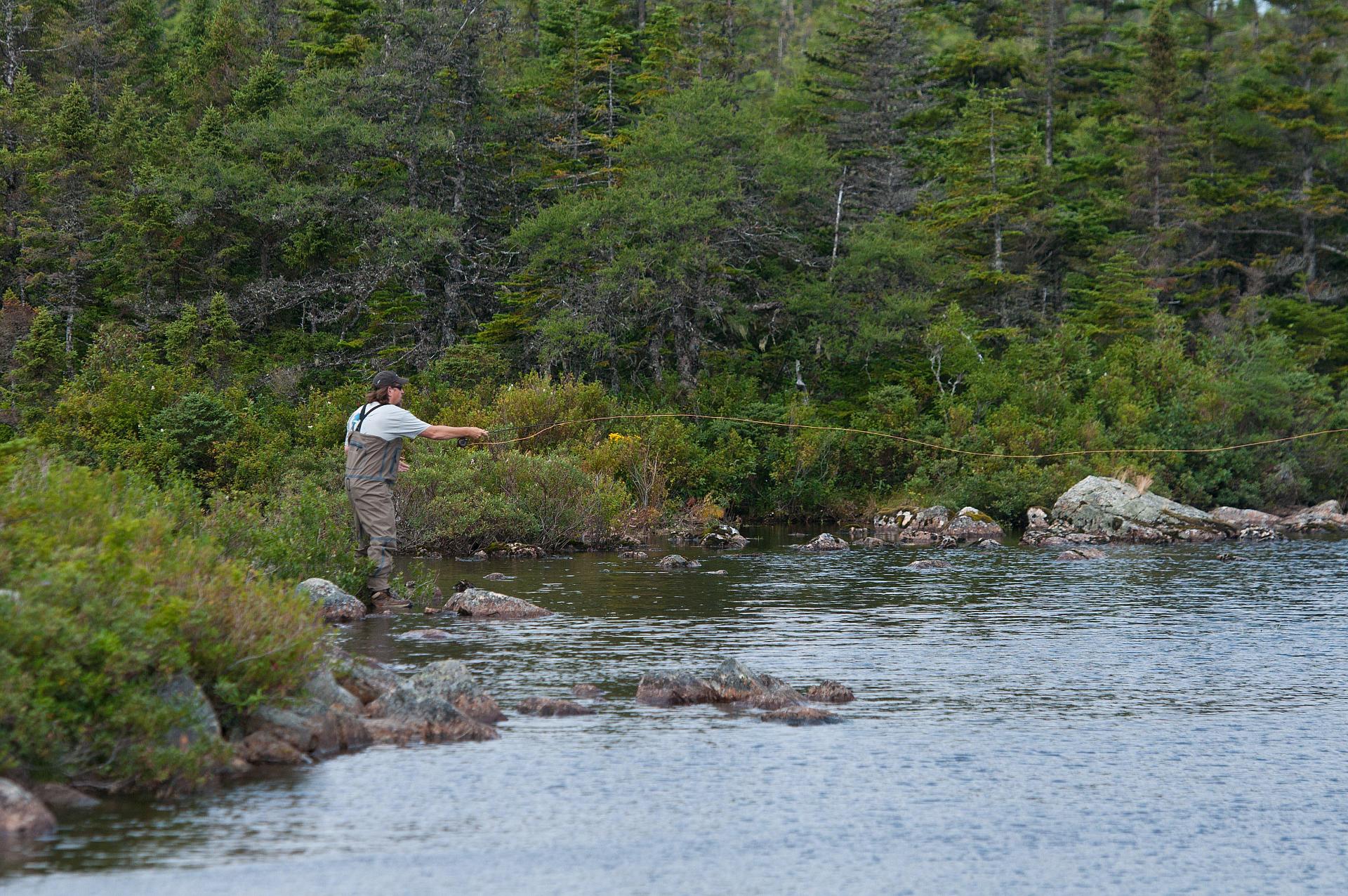 Watch and learn how to spey cast