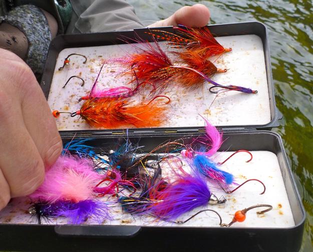 Steelhead: stuck in the 80s?