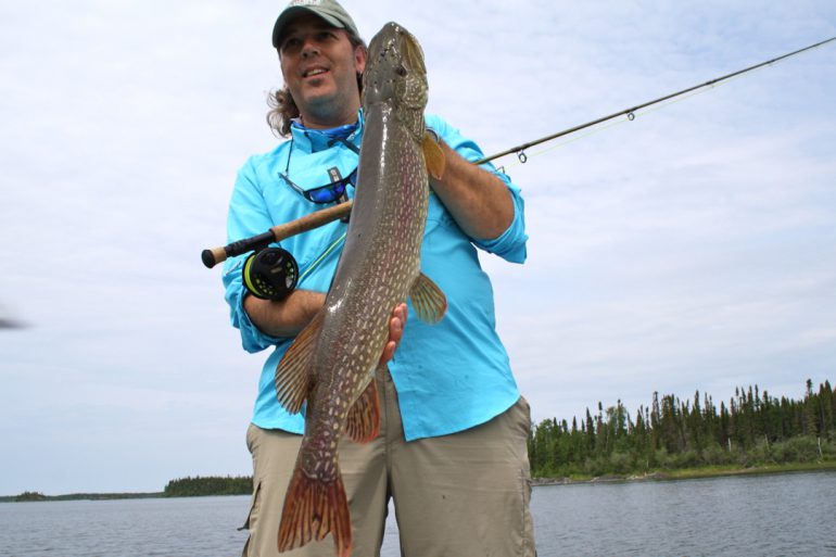 Image Via: Scott Gardner