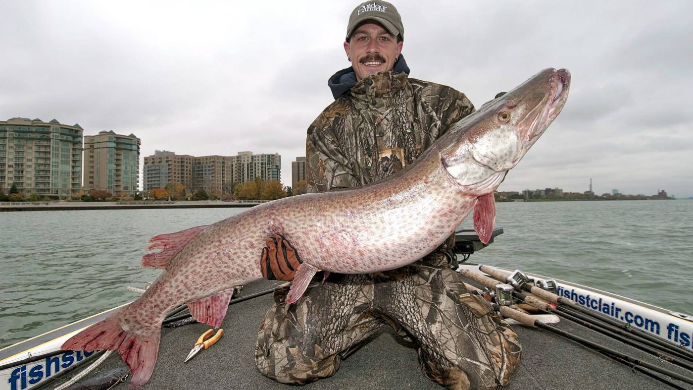 Top muskie anglers share their secret surfacefishing tips • Outdoor Canada