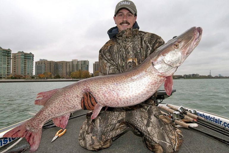 Image Via: Gord Pyzer