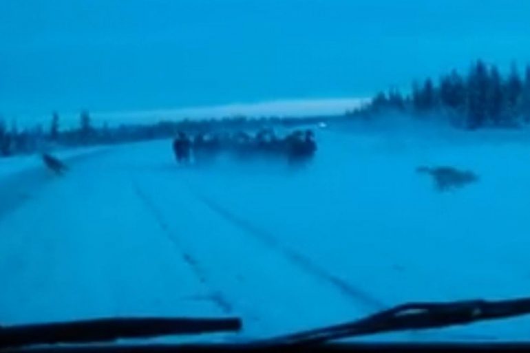 Image Via: Kerry Mercer