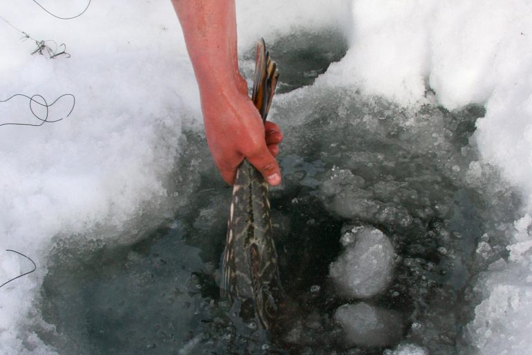 Image Via: Patrick Walsh