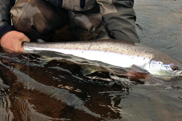5 fishing hot spots near St. John’s, Newfoundland