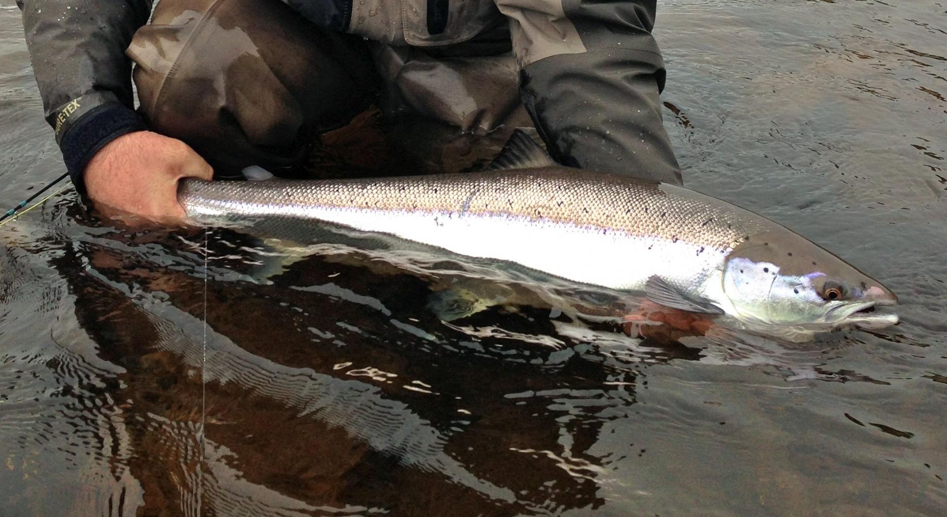 5 fishing hot spots near St. John’s, Newfoundland