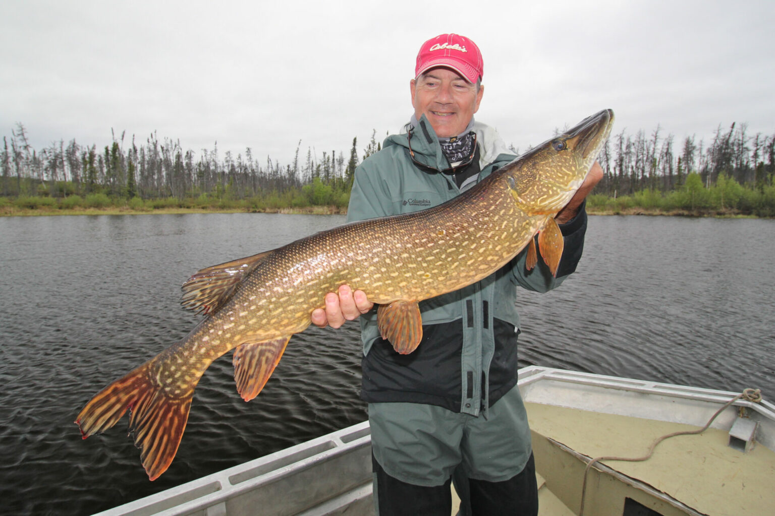 3 unbeatable rigs for catching huge earlyseason northern pike
