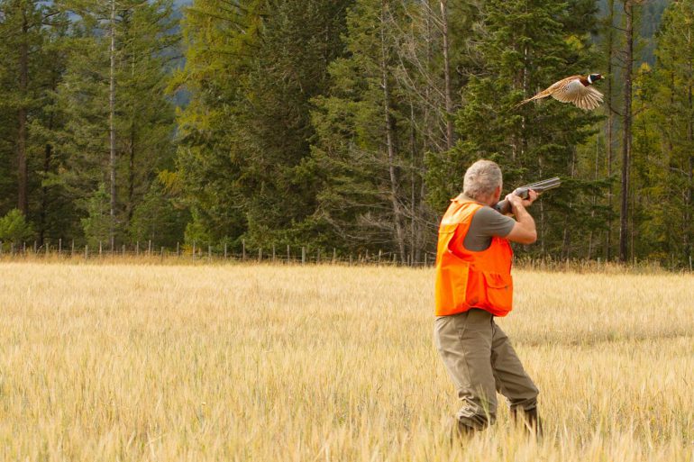 Image Via: Chantal Jacques