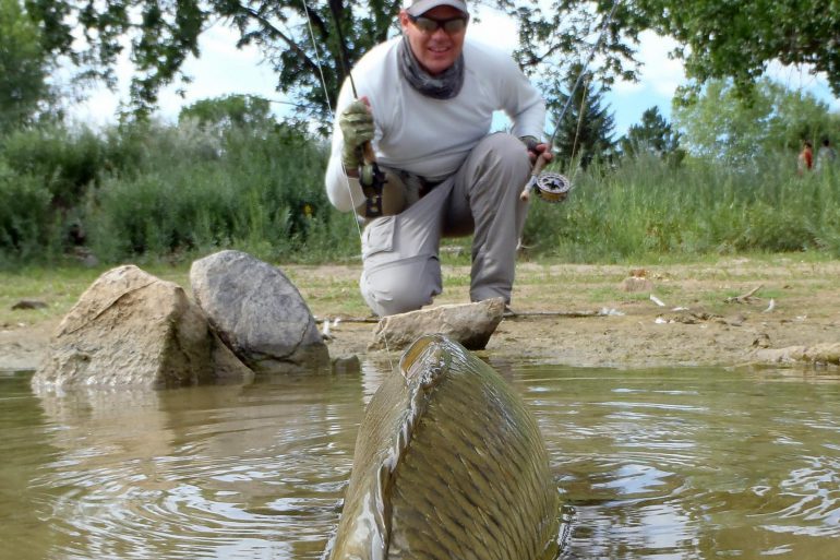 Expert secrets revealed: How to sight-fish for carp on the fly
