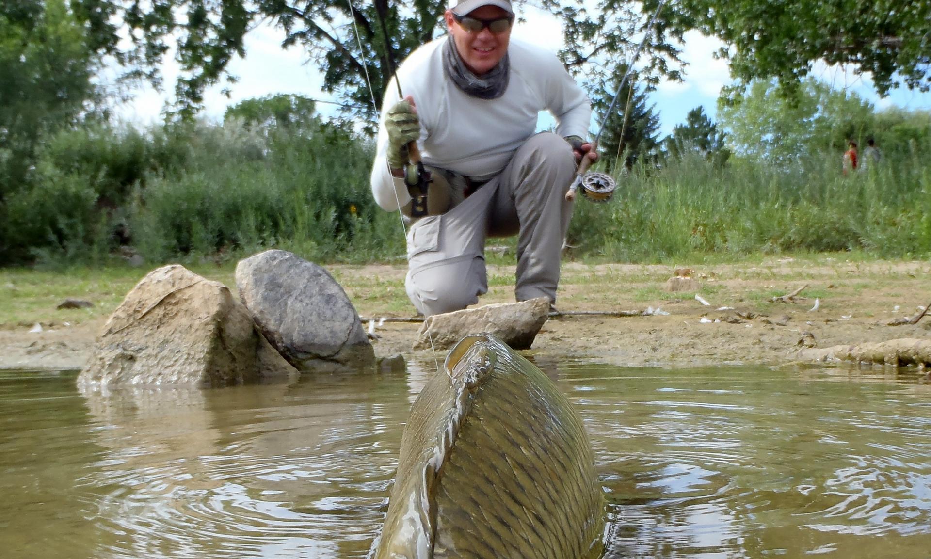 Expert secrets revealed: How to sight-fish for carp on the fly