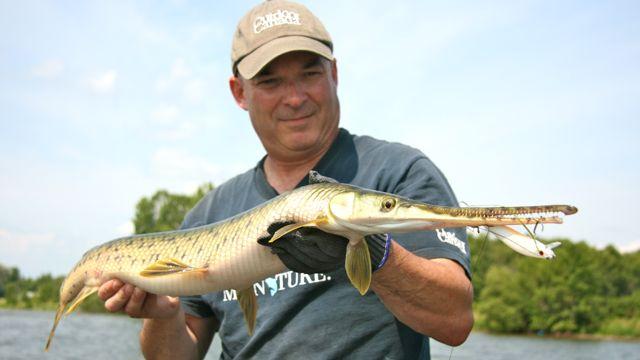 Credit: Patrick Walsh. Shallow-running cranks are excellent for gar.