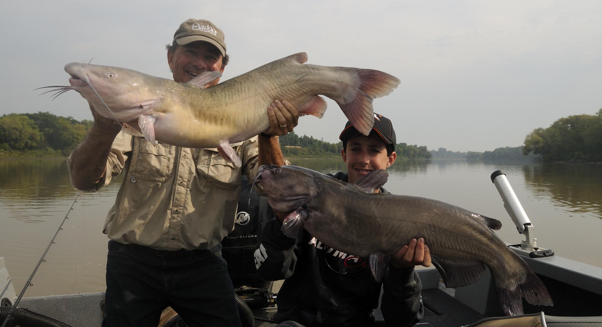 A summer blowout with Manitoba's magnificent thunder cats