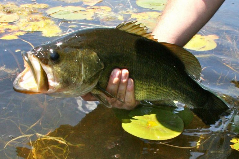 7 fishing hot spots in southern Ontario
