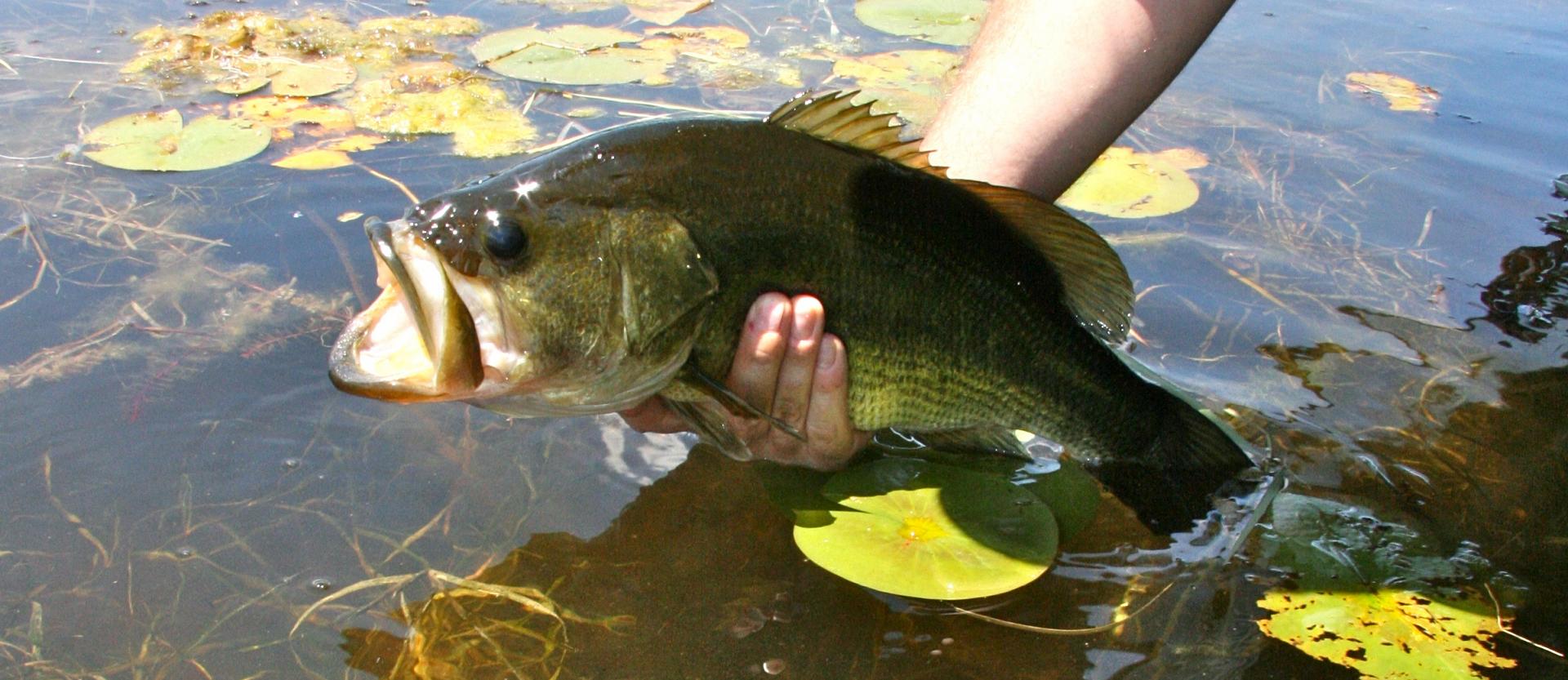 7 fishing hot spots in southern Ontario