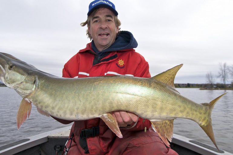 Image Via: Gord Pyzer