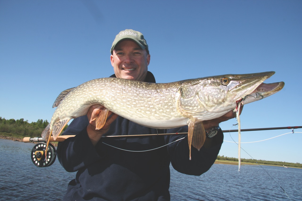 Pike Flies & Pike Traces - Flyfishing For Pike