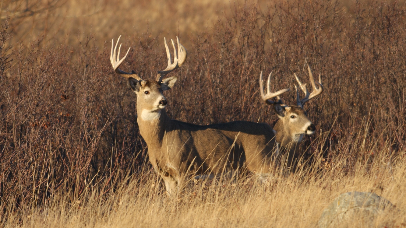 Image Via: Tourism Saskatchewan/Brian Wolitski