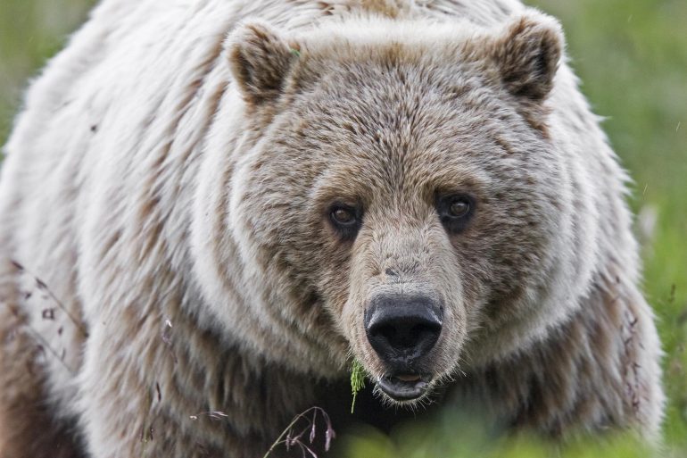 Image Via: Ken Conger