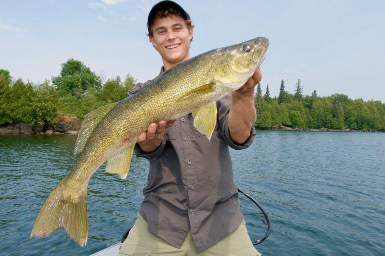 Image Via: Gord Pyzer