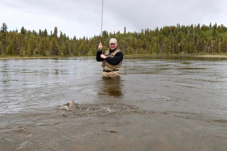 Image Via: Gord Pyzer