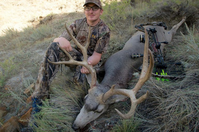 Image Via: Nick Trehearne