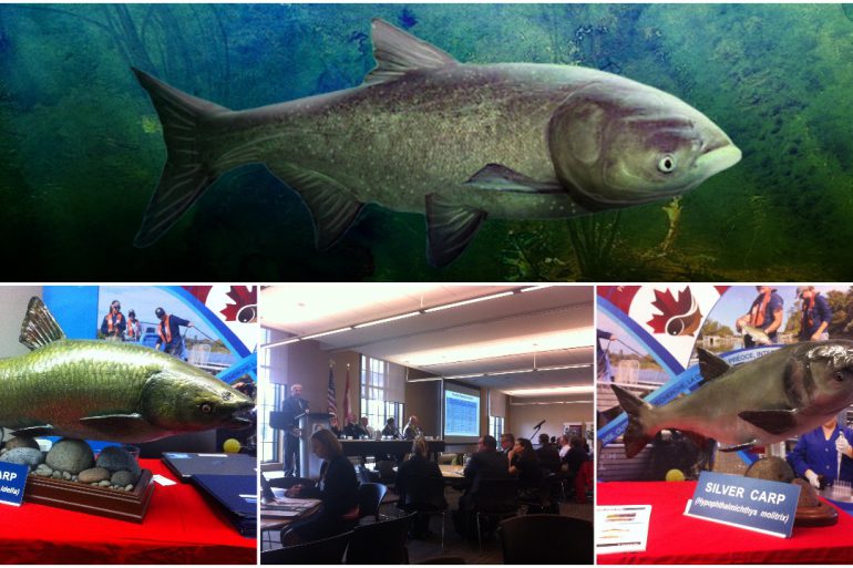 How close are we to an Asian carp invasion of the Great Lakes?