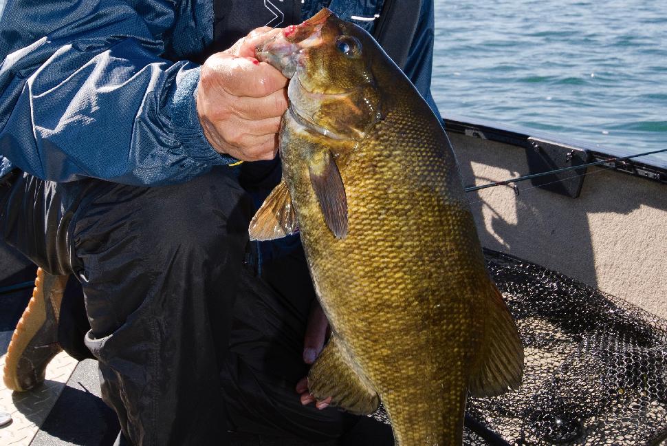 Why TV's Fish'n Canada hosts keep returning to Lake Saint Pierre • Outdoor  Canada