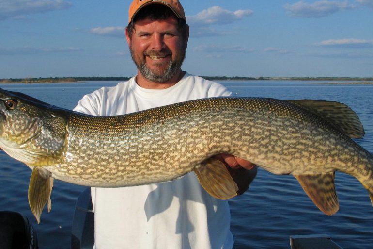 Northern pike—like you've never understood them before (Part 2)