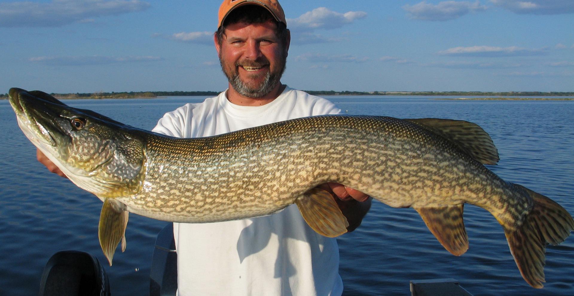 Northern pike—like you've never understood them before (Part 2)