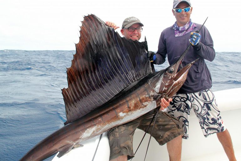 Image Via: Bob Sexton