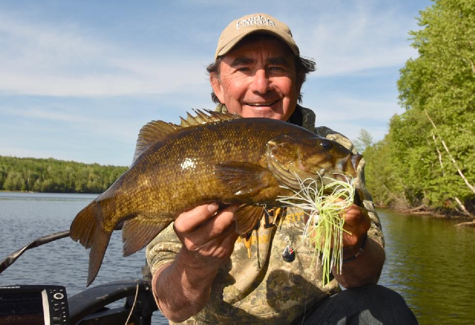 Finding ciscoes can help you catch more giant walleye, lake trout