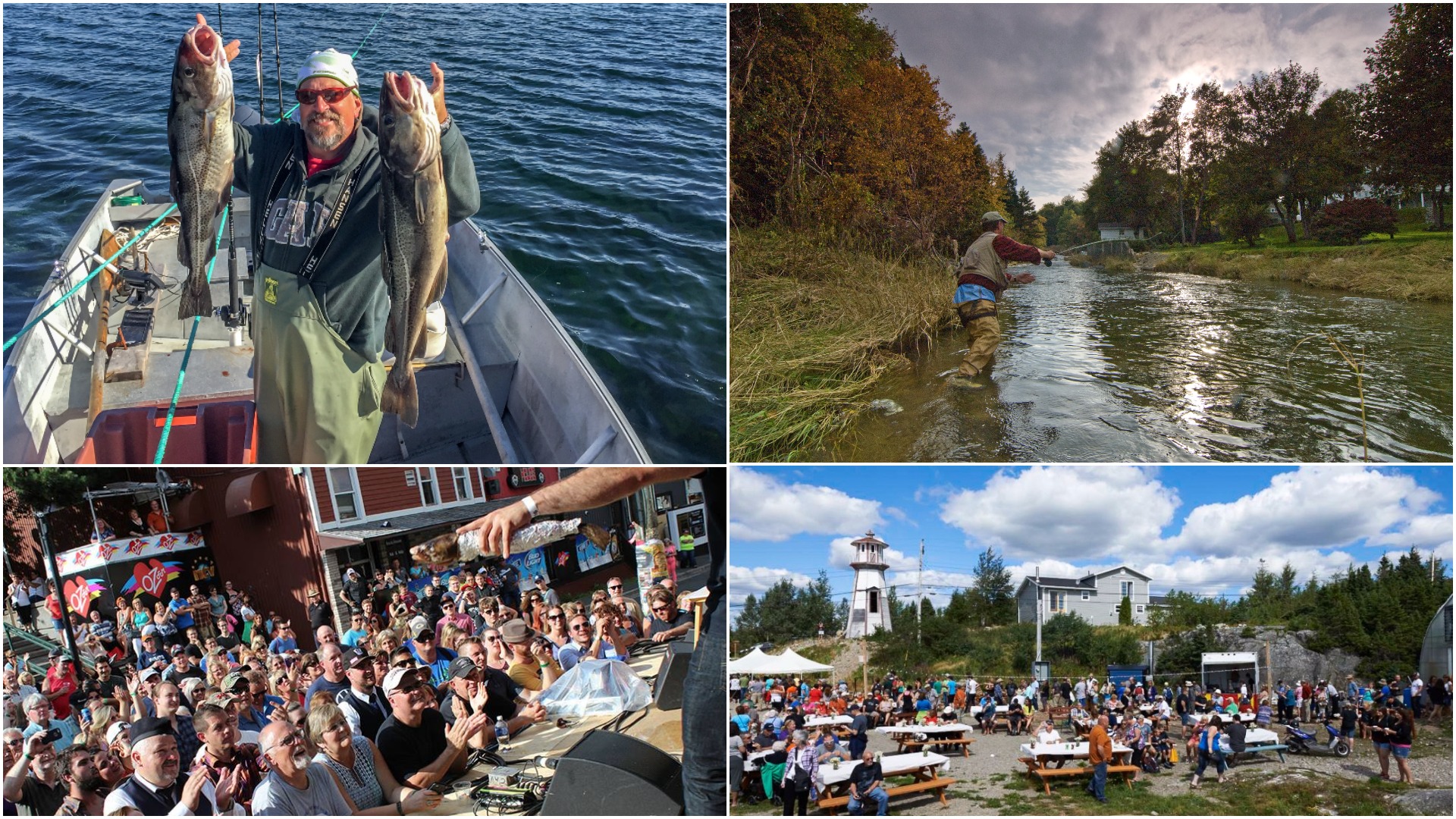 Visiting Newfoundland? You've gotta try these super-cool fishing adventures