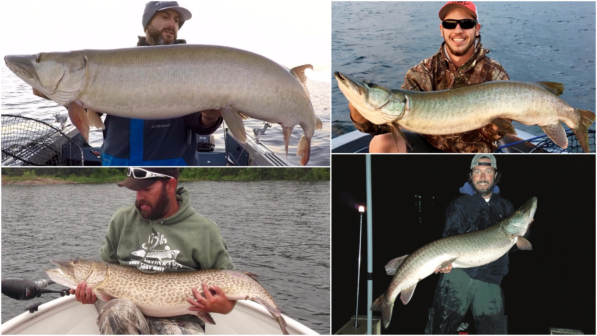 4 Muskie Masters Reveal Their Top Trolling Tactics for Monster Fish •  Outdoor Canada