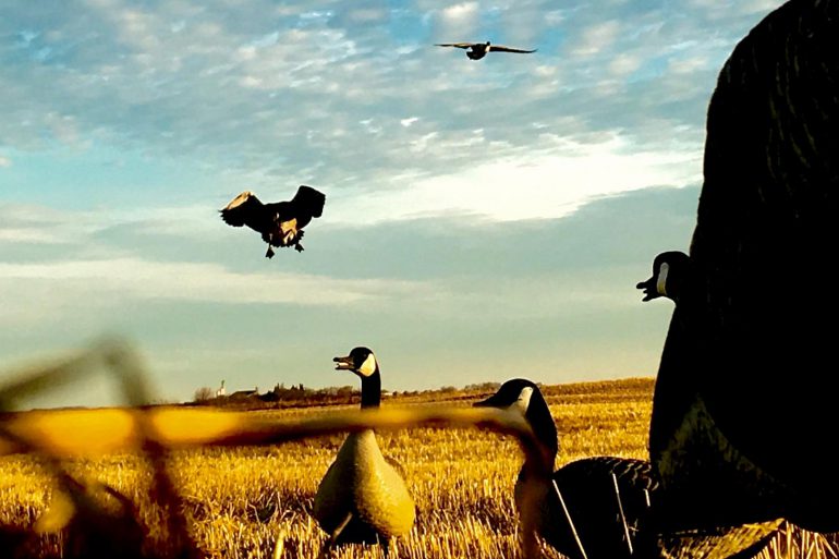 Image Via: Spencer Vandenberg