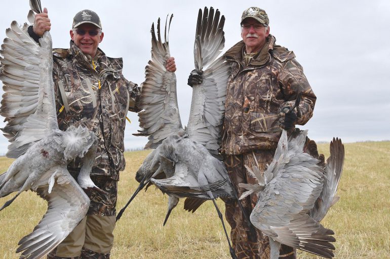 Image Via: Ken Bailey