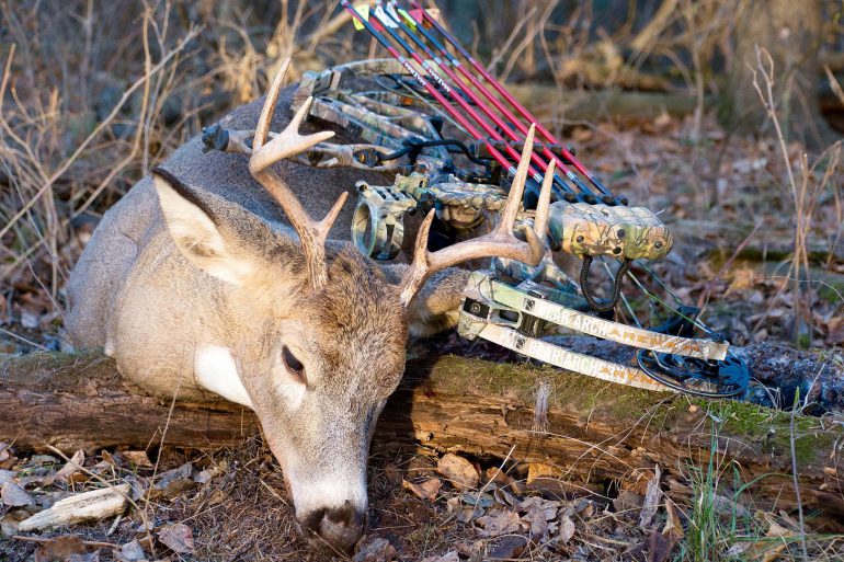 Credit: Gord Nuttall