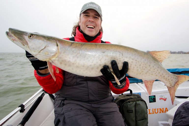 Image Via: Scott Gardner