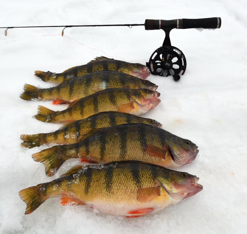 Ice fishing