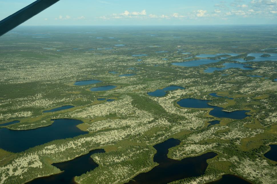 Aerial wildlife surveys are now being cancelled in Ontario due to a lack of funding