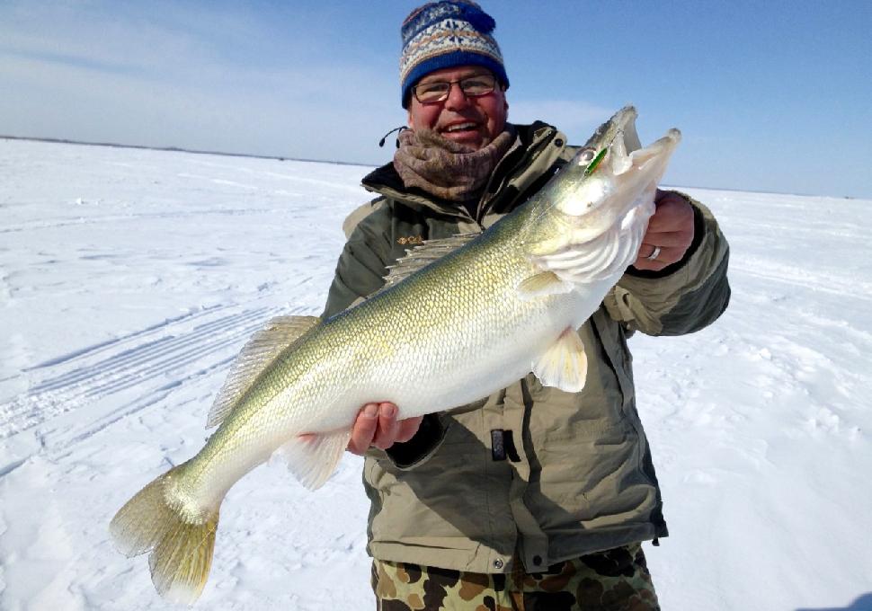 Credit: Rob Olson. Are Lake Winnipeg’s big walleye disappearing?