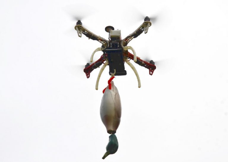 4 Fantastic New Accessories for Training Your Gun Dog • Page 3 of 4