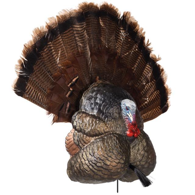 Thunder Series Turkey Decoys