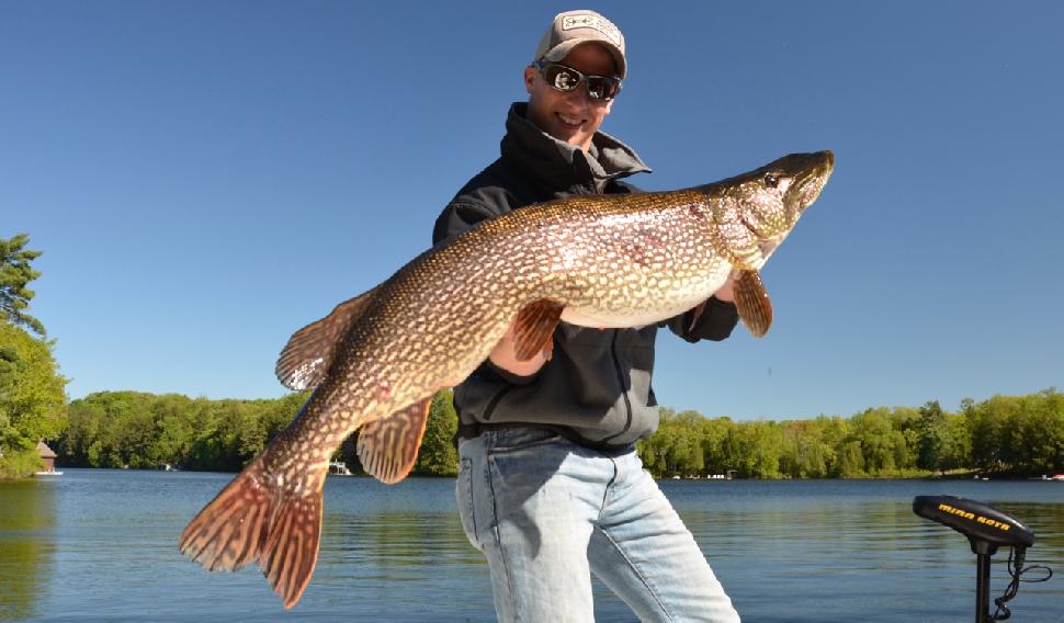 How to hammer early-summer northern pike with glide baits • Outdoor Canada